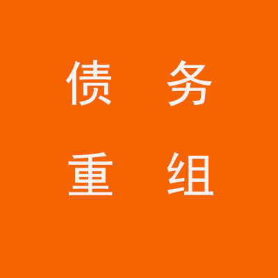 广东个人债务重组优化